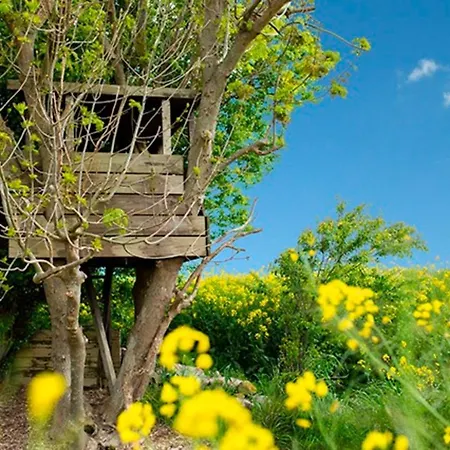 Haus Im Felde - Wohnung 4 - A62508 Albertsdorf